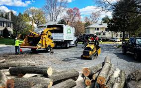 Leaf Removal Services in Westlake Village, CA